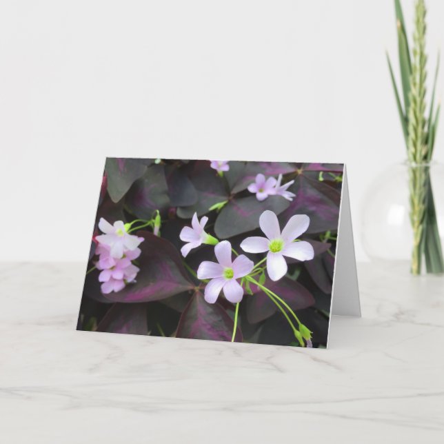 Denken Sie an Ihr Lila Kleeblatt Blooms Foto Karte (Vorderseite)