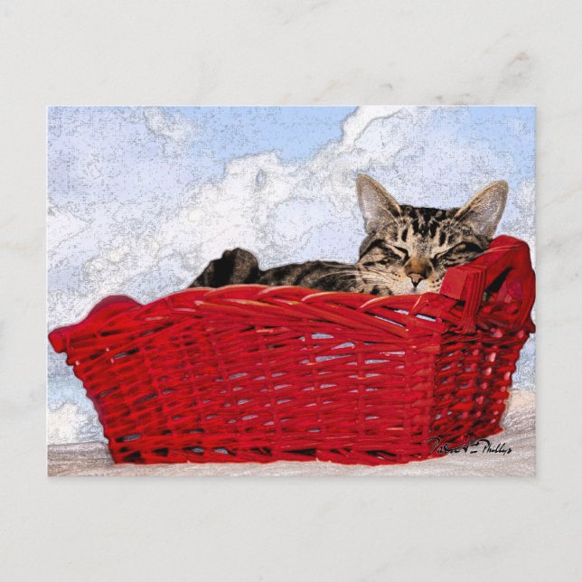 Denken Sie an Ihr Niedliches Schlafen Kitten Red B Postkarte (Vorderseite)