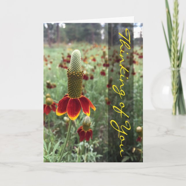 Denken Sie an Ihr Upright Prairie Coneflower Foto Karte (Vorderseite)