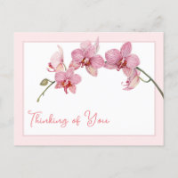 Denken Sie an Ihre Aquarellfarben Rosa Moth Orchid