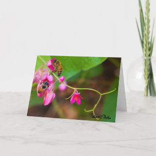 Denken Sie an Ihre Bees Coral Vine Blume Vorlage