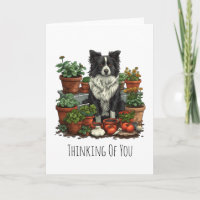 Denken Sie an Ihre Grenz-Collie-Gartenarbeit