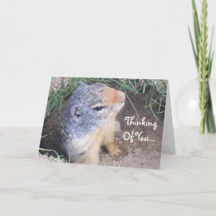 Denken Sie an Ihre Groundhog-Karte Karte