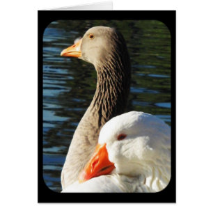 Denken Sie an Ihre_ Karte