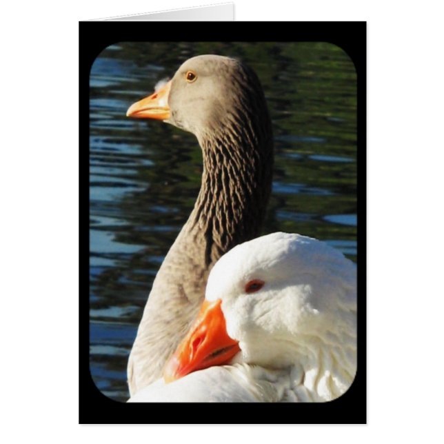 Denken Sie an Ihre_ Karte (Vorne)