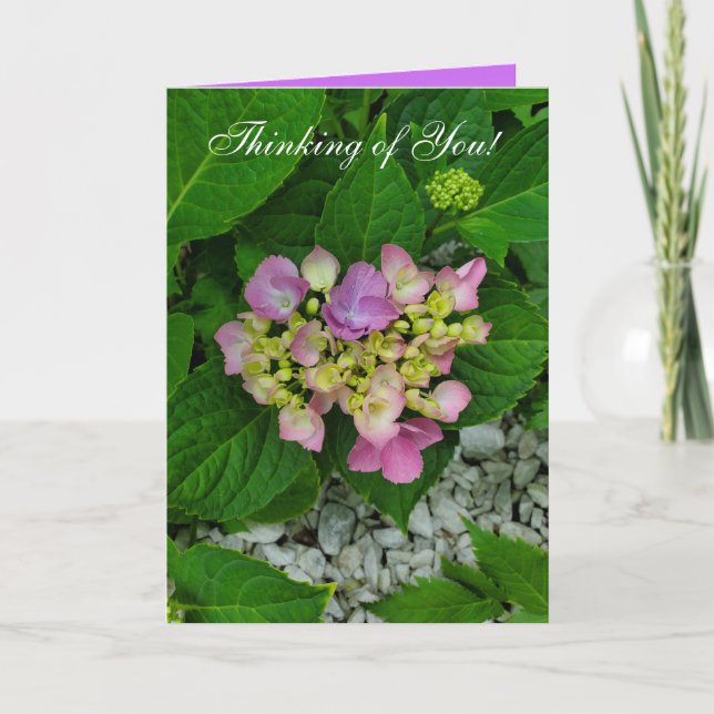 Denken Sie an Ihre Lila und rosa Blume Karte (Vorderseite)