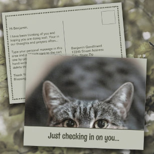 Denken Sie an Ihre Niedliche Cat Caption Template  Postkarte