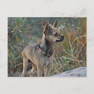 Denken Sie an Ihre Postkarte