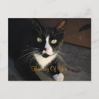 Denken Sie an Ihre Postkarte