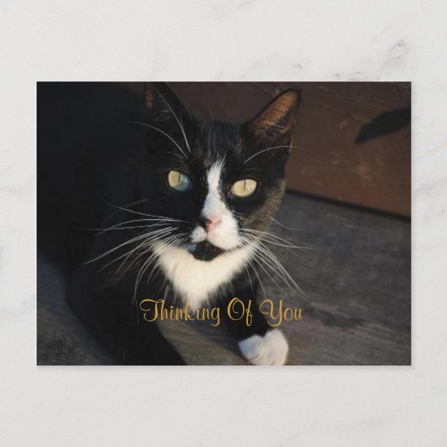 Denken Sie an Ihre Postkarte (Vorderseite)