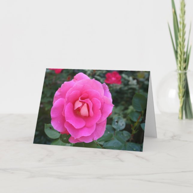 Denken Sie an Ihre rosa Rosenkarte Karte (Vorderseite)