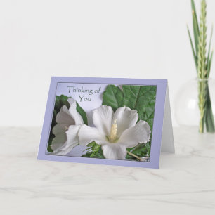 Denken Sie an Ihre Rose von Sharon White Hibiskus Karte