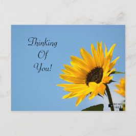 Denken Sie an Ihre Sonnenblumenkarte Postkarte