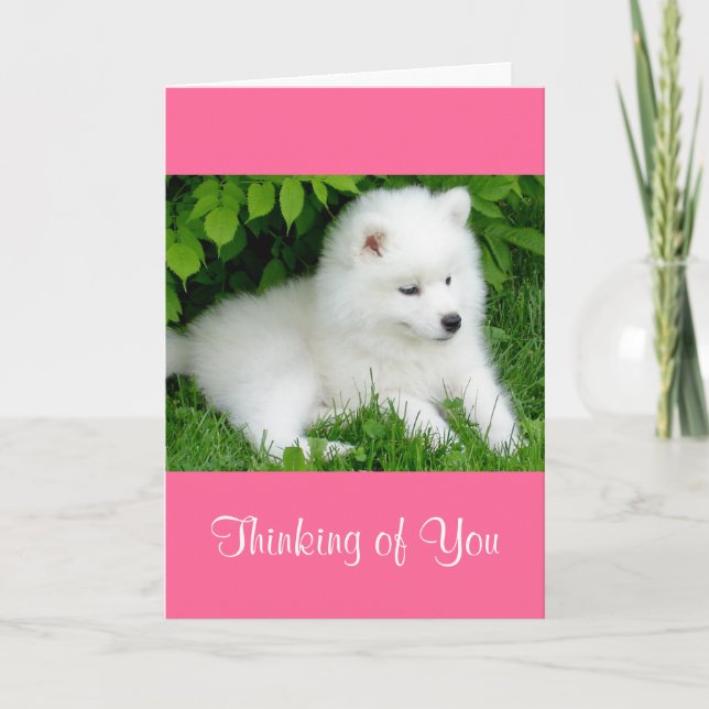 Denken Sie an Ihre weiße Samoyed Welpe Hund Pink C Karte (Vorderseite)