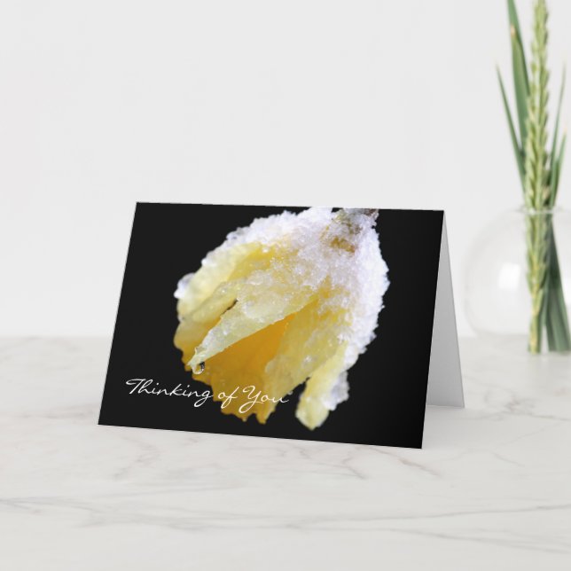 Denken Sie an Ihre Winter Daffodil Grußkarte Karte (Vorderseite)