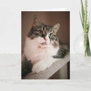 Denken Sie an Ihren Geburtstag (Karte) Karte