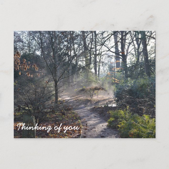 Denken Sie an Ihren Misty Winter Garden Postkarte (Vorderseite)