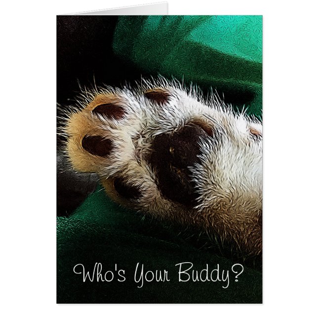 Denken Sie an Kitten Paw Fotograf Leere Inside (Vorne)