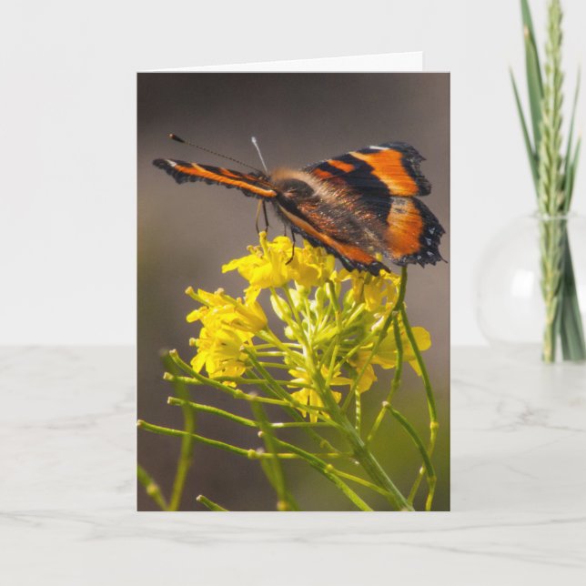 Denken Sie an Milberts Tortoiseshell Butterfly Karte (Vorderseite)