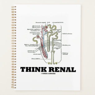 Denken Sie an Niere Nephron Ratschläge Planer