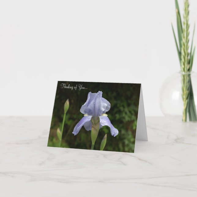 Denken Sie an Periwinkle Iris Regenfälle Karte (Vorderseite)
