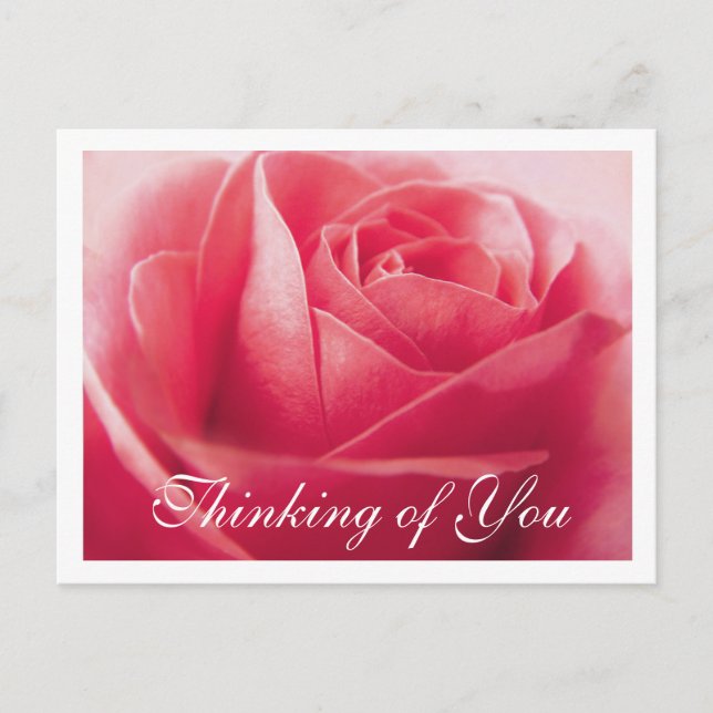 Denken Sie an Pink Rose Gruß Postkarte (Vorderseite)