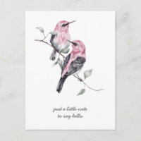 Denken Sie an rosa und graue tropische Vögel