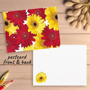 Denken Sie an rote und gelbe Gerber-Gänseblümchen Postkarte