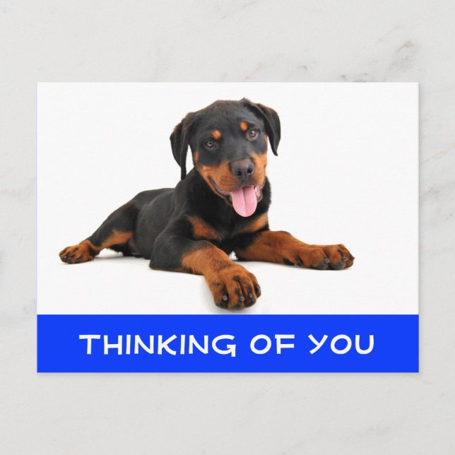 Denken Sie an Rottweiler Puppy Dog Postkarte (Vorderseite)