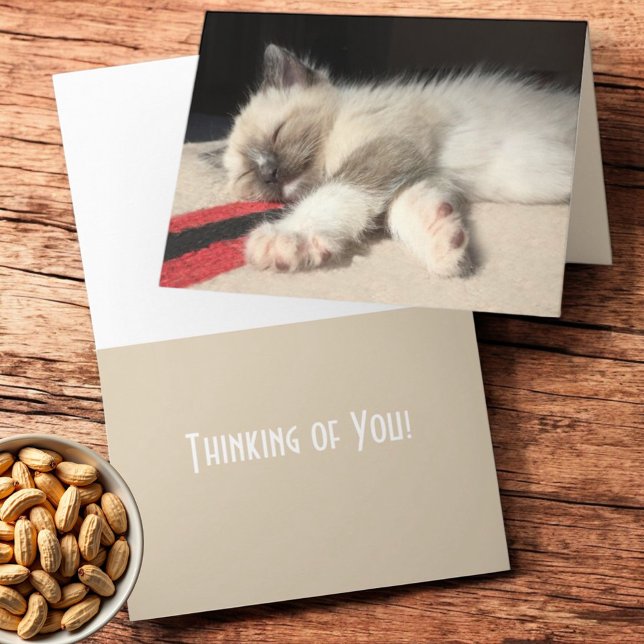 Denken Sie an Siam Kitten Fotograf Karte (Folding greeting card cover and inside template text )