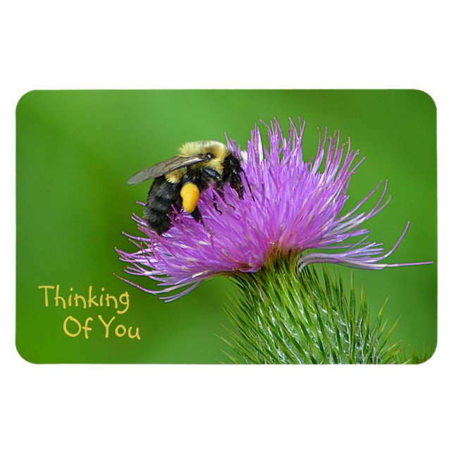 "Denken Sie an Sie" Bee Magnet (Horizontal)