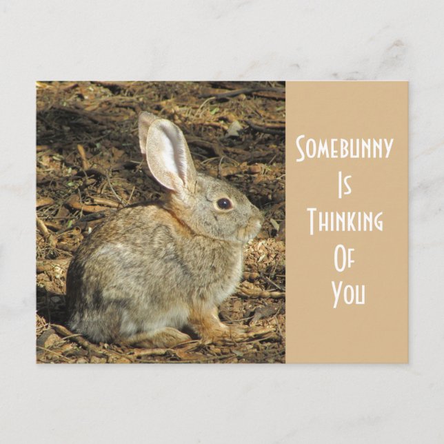 Denken Sie an Sie bezauberndes Wild Brown Bunny Postkarte (Vorderseite)