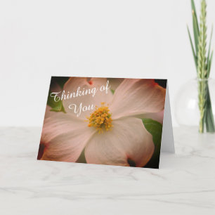 "Denken Sie an Sie" Dogwood-Blume Karte