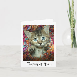 Denken Sie an Sie... Gray Tabby Kitten Karte