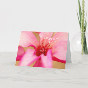Denken Sie an Sie Japanisch Magnolia Karte