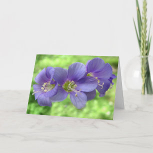 Denken Sie an Sie Karte