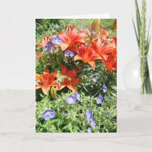 Denken Sie an Sie, orange Lilien Karte