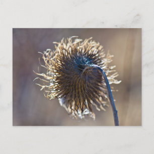 Denken Sie an Sie Postkarte