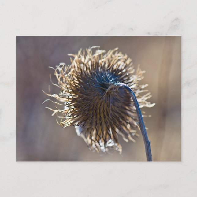 Denken Sie an Sie Postkarte (Vorderseite)