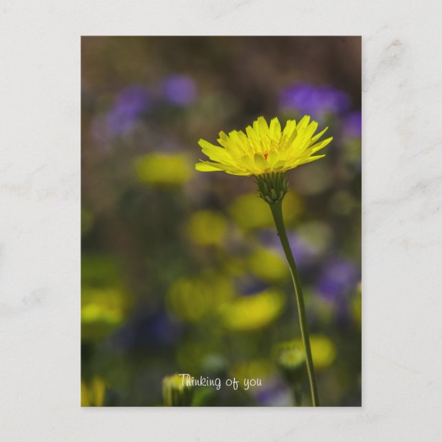 Denken Sie an Sie! Postkarte (Vorderseite)