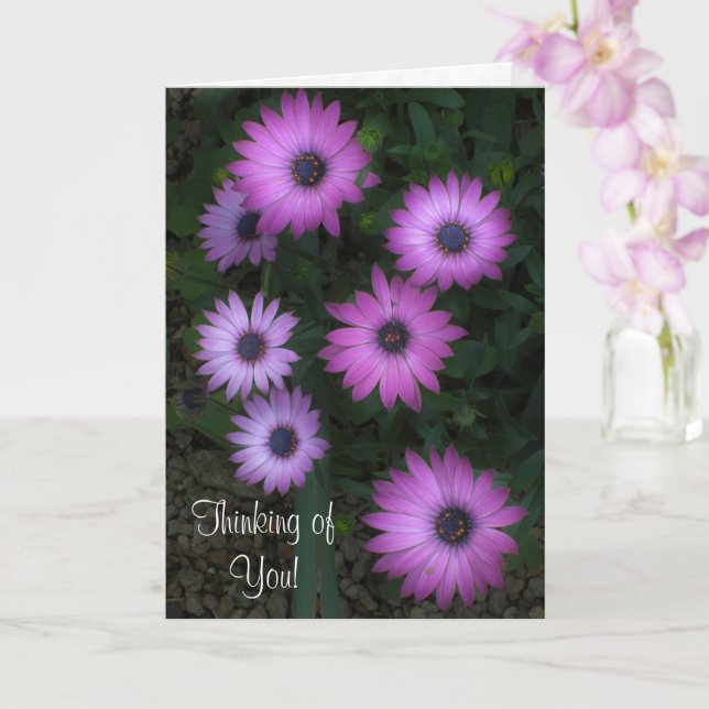 Denken Sie an Sie - Rosa Blumenkarte EC 3:11 Karte (Orchidee)