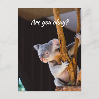 Denken Sie an Sie Spaß Koala Lass mir wissen, dass Postkarte