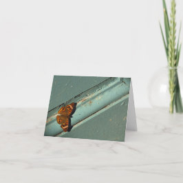 Denken Sie an Sie/Sympathiekarte mit Schmetterling Karte