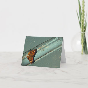 Denken Sie an Sie/Sympathiekarte mit Schmetterling Karte
