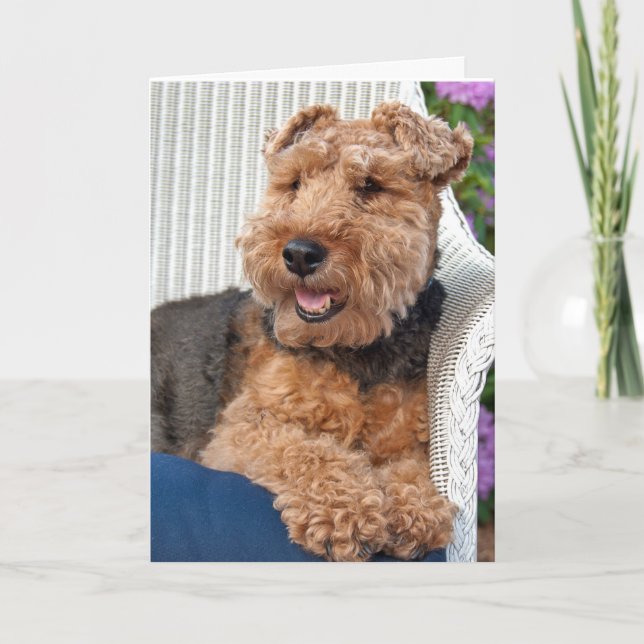 Denken Sie an Sie-Welsh Terrier auf Korbstühlen Karte (Vorderseite)