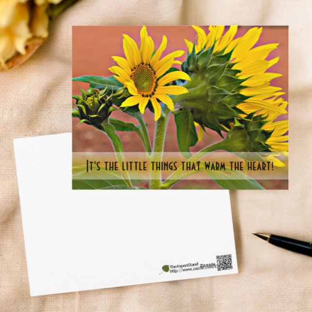 Denken Sie an Sonnenblumen Fotovorlage Postkarte (front and back of sunflower photograph photocard)