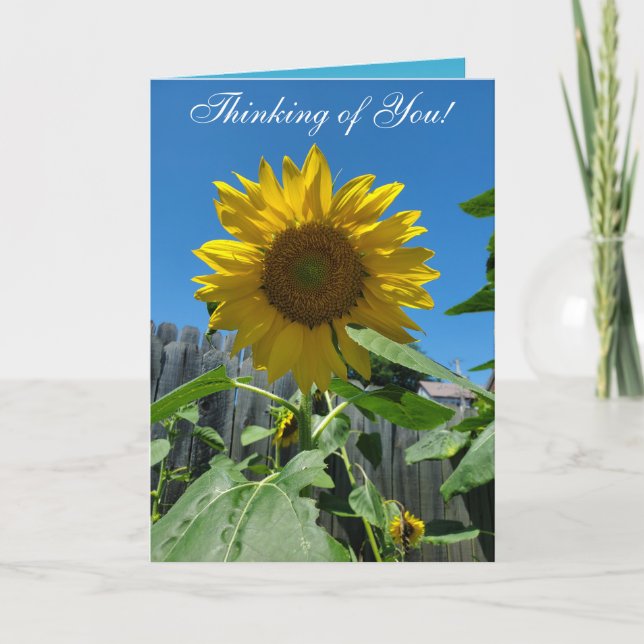 Denken Sie an Sonnenblumenfotografie Karte (Vorderseite)