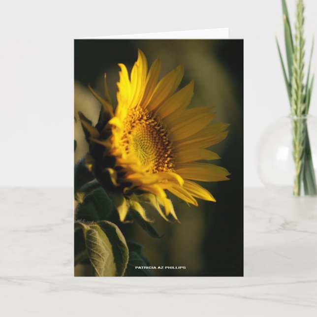 Denken Sie an Sonnenblumenlicht FotoTemplate Karte (Vorderseite)