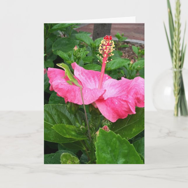 Denken Sie an Tropisch Pink Hibiskus Lizard Karte (Vorderseite)
