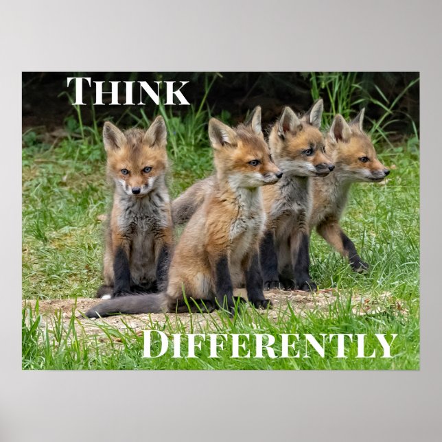 Denken Sie anders Fox Poster (Vorne)